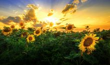 冬季问候客户短信