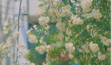 六月早安正能量句子大全 看到就充满力量的说说