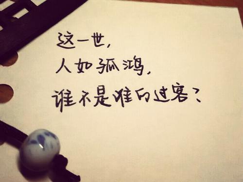 一句话爱的告白