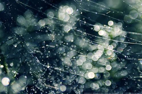 10.每当您感到疲倦时，停下来思考一下自己要追赶的距离，恢复体力，继续前进。每当您感到困惑时，就停下来梳理一下困惑的想法，驱散困惑，然后再次上路。每当遭受痛苦时，就该停下来，抚平流血的伤口，擦干眼泪，然后继续上路。每当您放弃时，停下来，做出艰难的选择，然后再次上路。