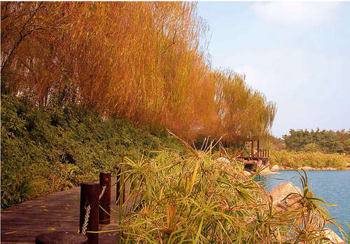 20.看着秋天的水，以为握着手可以一起变老。最后，我无法摆脱现实的束缚，最终我失去了城市中的薄雾和雨水。之后，他们各自的目的。