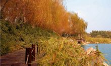 望穿秋水的抒情句子