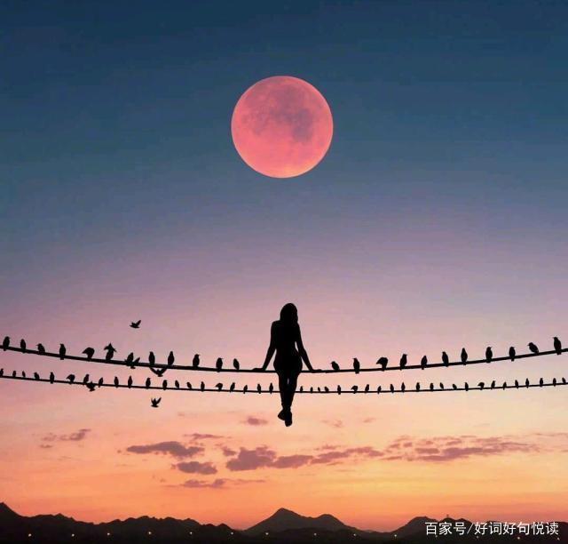 10.繁星点点的夜空新月新月悬在空中；微弱的月光充满了地面；只有星光满天；在远处可以看到广阔的天空；但是你不是繁星点点的天空！