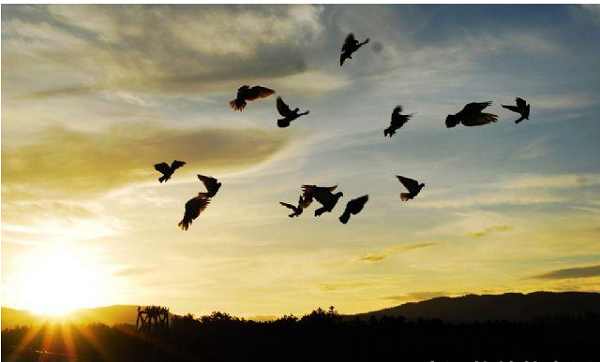 生活的旅程并不总是那么顺利