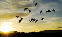 人生的航程，不总是一帆风顺