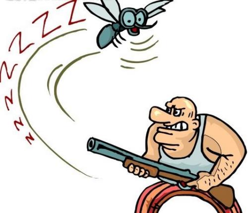 谈谈蚊子的空间