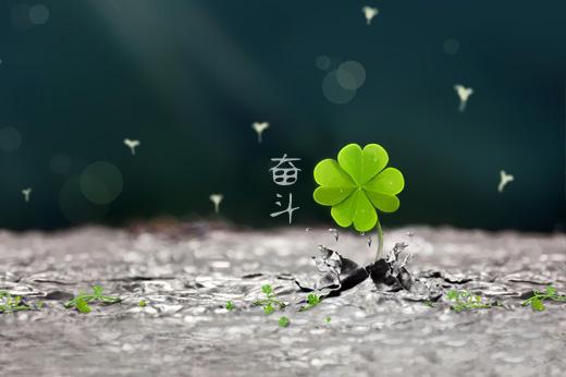 8.应该尝试任何事情,因为您不知道哪种事情或什么样的人会改变您的生活。