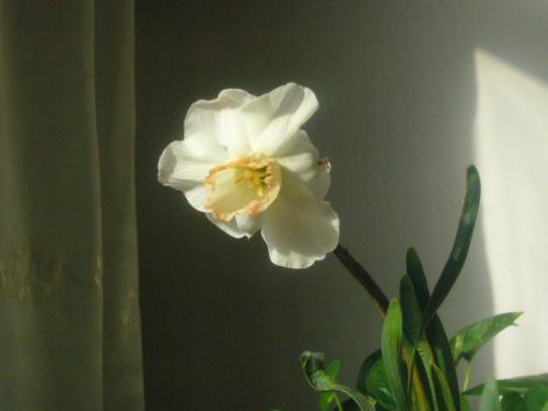 亲情文艺范的句子 2