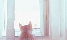 情人开心的句子有哪些 能让情人开心的句子