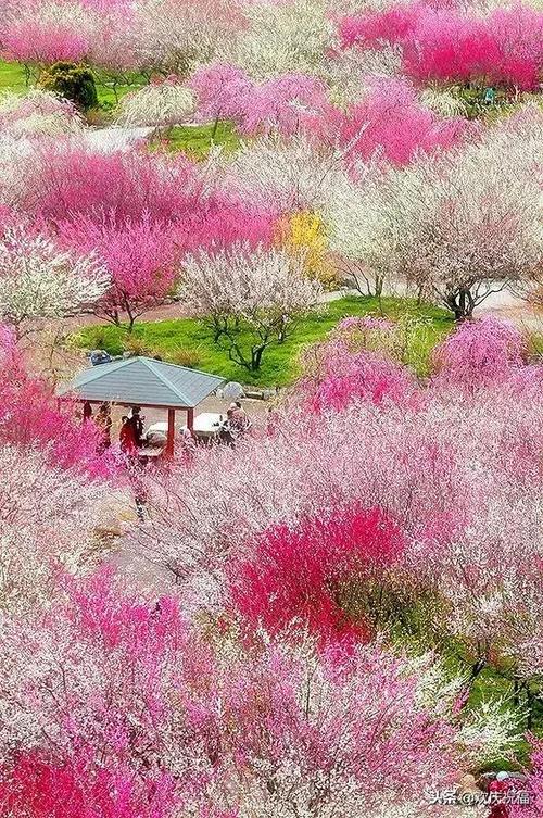 唯有亲情最可贵的句子 2