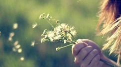 对生活失望了希望的句子 1