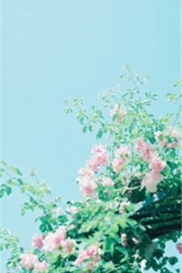 形容亲情伤心的句子