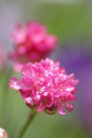 描写亲情的句子带有书名 1