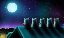 关于中秋月亮的优美句子