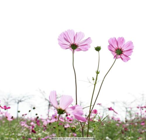 手写表达亲情的句子 2