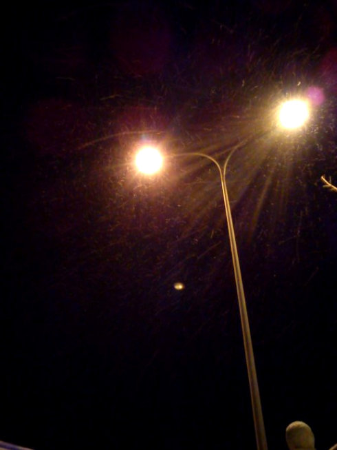 写关于寂寞的夜晚的句子