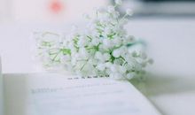 文艺青年的个性签名