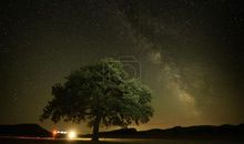 描写黑夜的句子