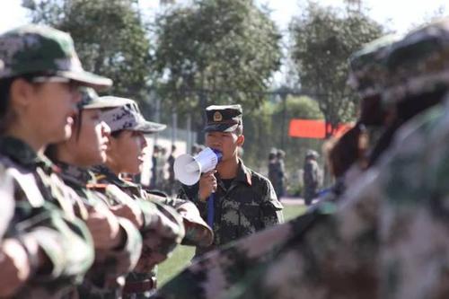 导师的搞笑名言