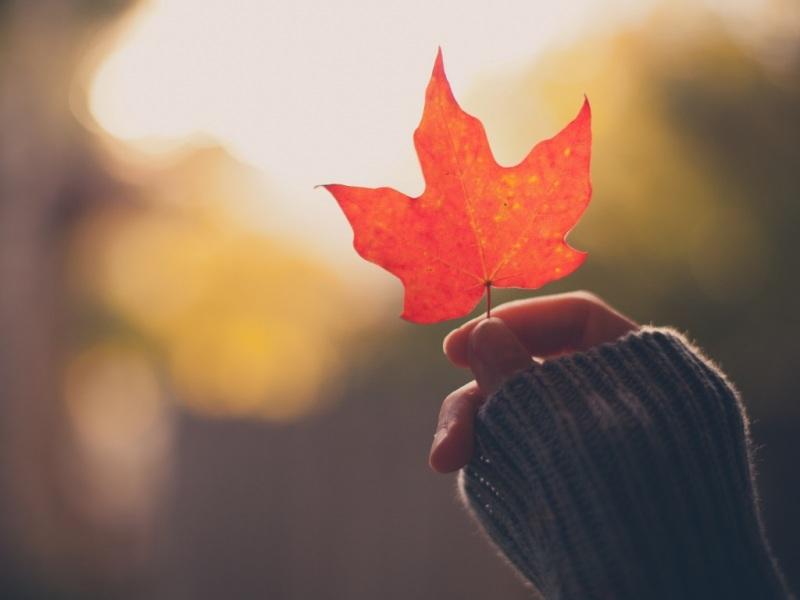 10.一个好女人可以把一个男人变成一个快乐的人，一个坏女人可以把一个男人变成一个哲学家。