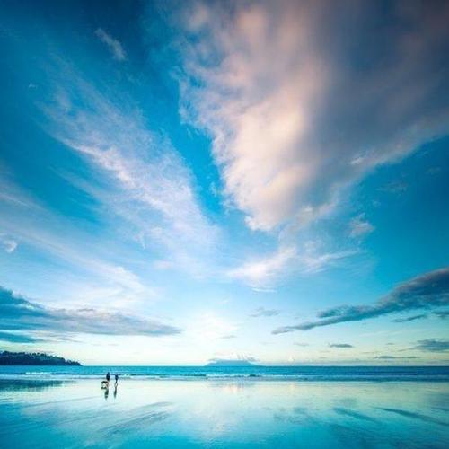 正面和正面的句子