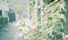 对客户天气问候短信