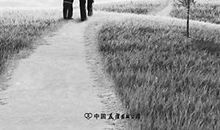 形容距离和亲情的句子