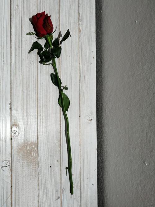 心痛到心碎无法呼吸的句子