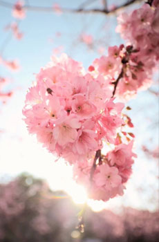 心痛到心碎无法呼吸的句子 1