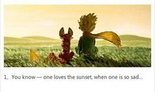 小王子经典语录赏析