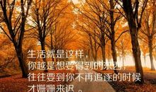 关于爱好的句子