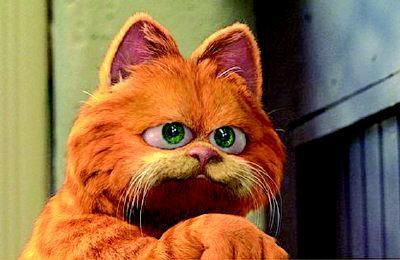 加菲猫英语报价