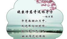 描写夏天心情的句子