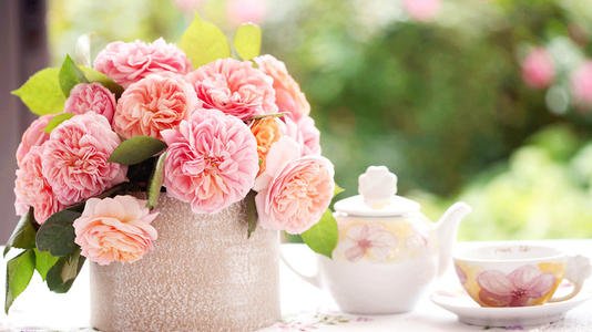 毫无意义的家庭爱情句子