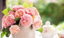 亲情毫无意义的句子