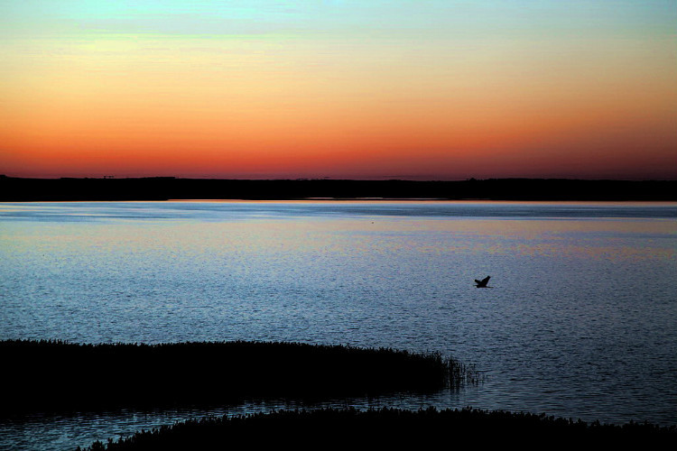 与进取有关的座右铭1