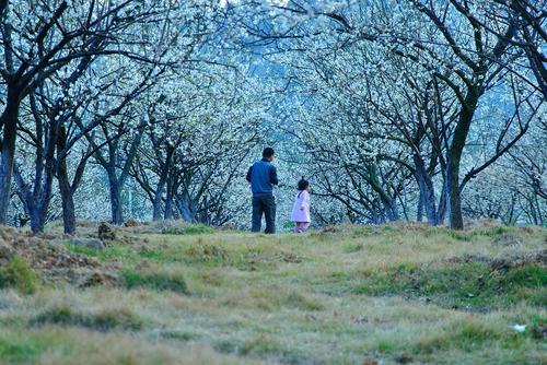 有关亲情的夏天的句子短的
