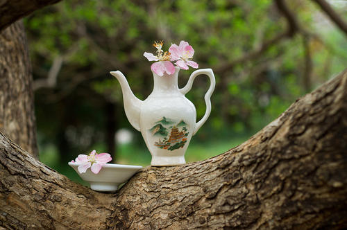 一段描述山茶花的美丽诗句