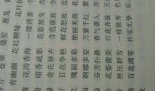 描写四季的优美句子