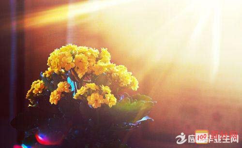 夏天养生问候短信 1