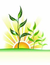 12.这种刺痛像子弹，我的步伐放慢，我对梦想的执着变成无助和开玩笑。