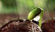 生命意义的正能量句子