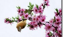 描写美丽春光的句子