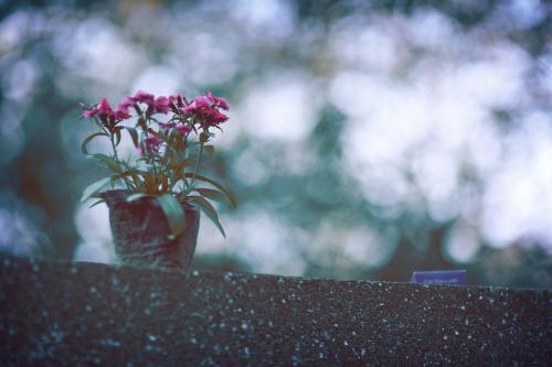 感慨心痛的句子说说心情 2