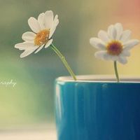 通过动作描写表现亲情的句子 2