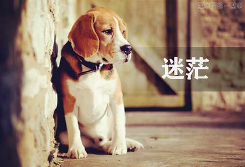 看不见的时候寻求生命的意义