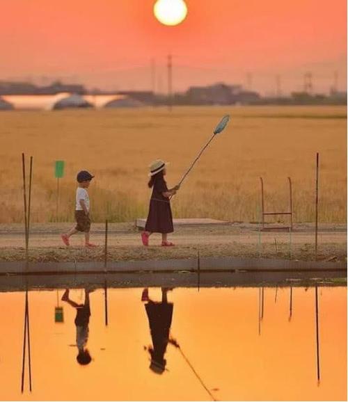 体现亲情的心理活动的短句子 2