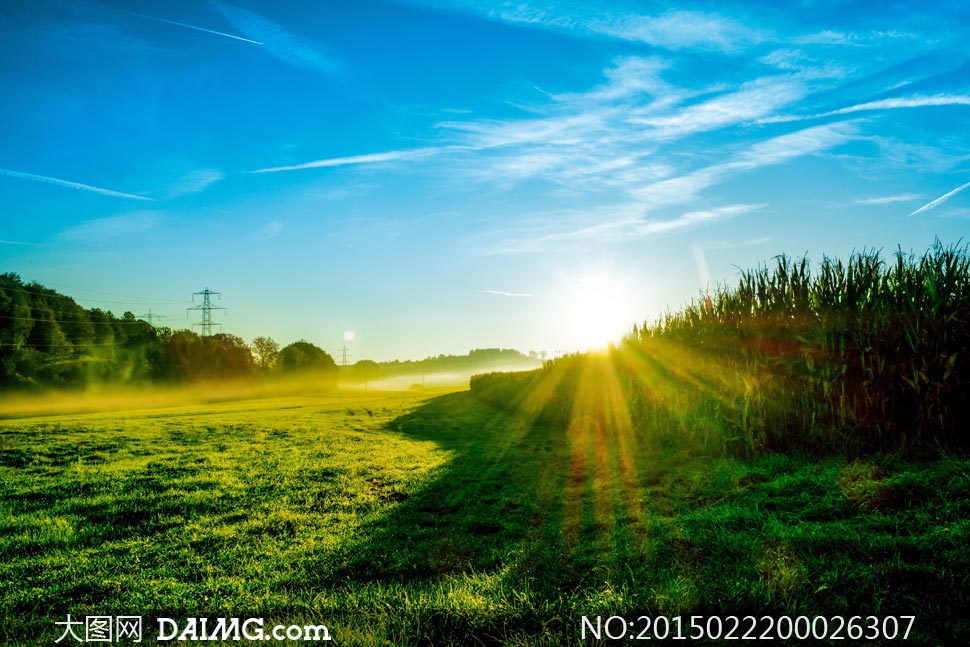 夏天问候客户短信