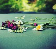 通过动作描写表现亲情的句子