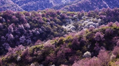 11.给您真诚的祝福：在紧张时放松自己，在遇到麻烦时善待自己，在遇到麻烦时安慰自己，在幸福时祝福自己，在付出时回报自己，在付出时更加珍惜自己你很忙！你星期天必须好好休息。